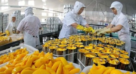 連云港韓李村:花果山下小村莊&ldquo;花果經&rdquo;中奔小康