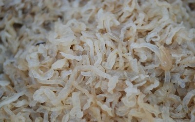 【專業(yè)供應(yīng)海鮮干貨海蜇絲(廠家直銷 批零兼可,歡迎來電咨詢)】價(jià)格,廠家,圖片,鮮活/冷凍水產(chǎn),連云港大橋海產(chǎn)品銷售-