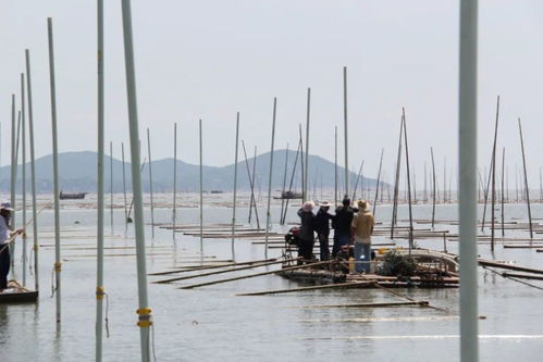 獲批國家級(jí)