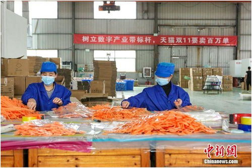 天貓雙11首日產(chǎn)業(yè)帶迎來(lái)開(kāi)門(mén)紅 7個(gè)產(chǎn)地1小時(shí)銷(xiāo)量過(guò)億