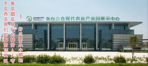 東臺(tái)市金豐園瓜果蔬菜專(zhuān)業(yè)合作社